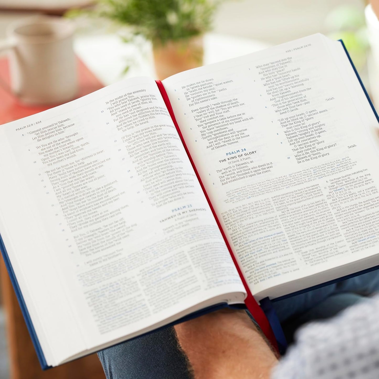 LSB - MacArthur Study Bible 2nd Edition: Legacy Standard Bible (Brown Leathersoft, Comfort Print)