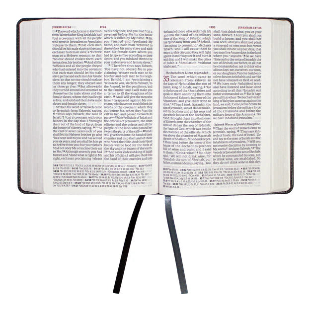 LSB - Legacy Standard Bible, Portable Paragraph Reference, Red Letter - Paste-Down Faux Leather