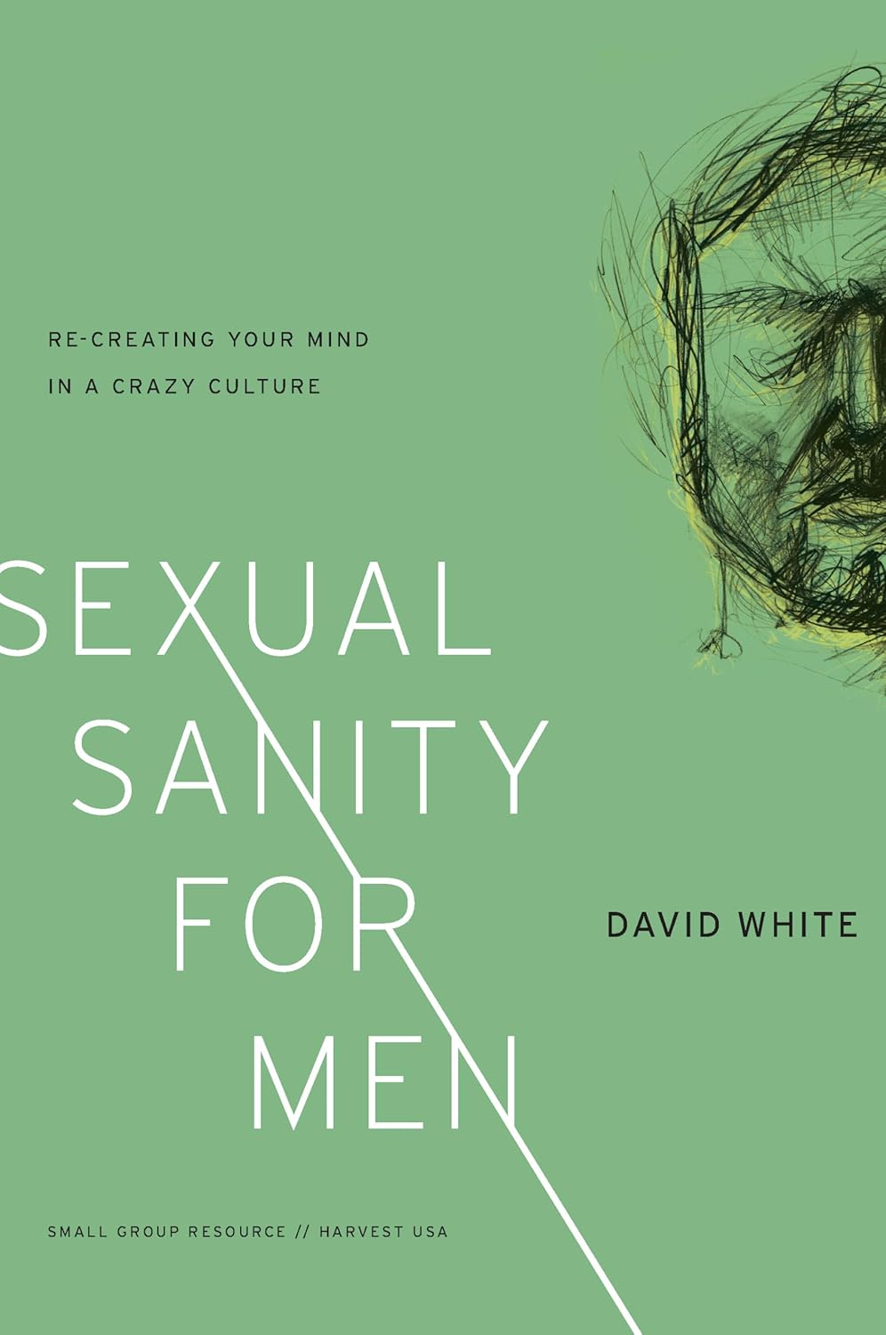 Sexual Sanity for Men: Re-Creating Your Mind in a Crazy Culture by David White
