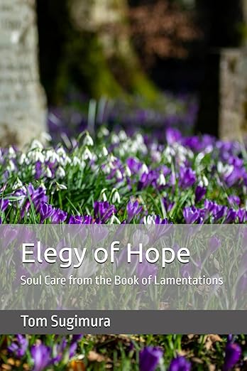 Elegy of Hope : Soul Care from the Book of Lamentations by Tom Sugimura