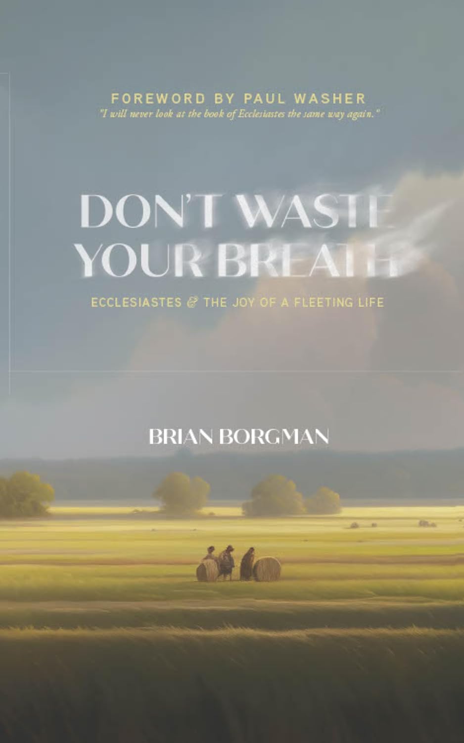 Don't Waste Your Breath: Ecclesiastes and the Joy of a Fleeting Life by Brian Borgman