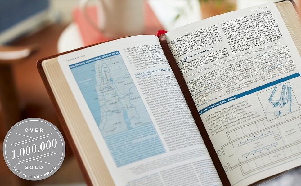 LSB MacArthur Study Bible 2nd Edition: Brown Premium Goatskin Leather (Comfort Print) Legacy Standard Bible