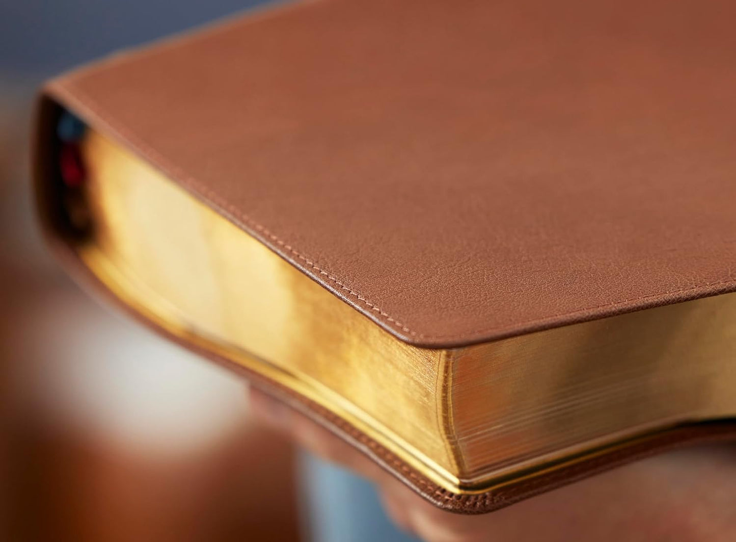 LSB MacArthur Study Bible 2nd Edition: Brown Premium Goatskin Leather (Comfort Print) Legacy Standard Bible