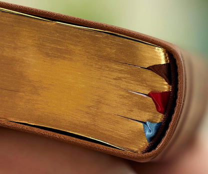 LSB MacArthur Study Bible 2nd Edition: Brown Premium Goatskin Leather (Comfort Print) Legacy Standard Bible