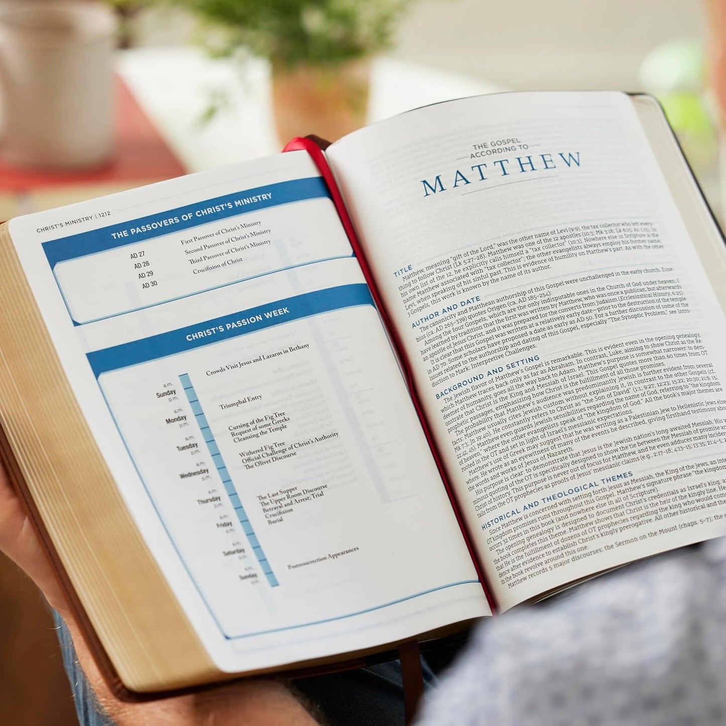 LSB - MacArthur Study Bible, Black Genuine Leather, Comfort Print - (Legacy Standard Bible)