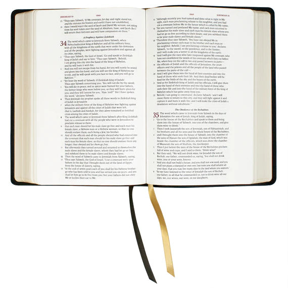 LSB - Legacy Standard Bible, Large Print Wide Margin - Paste-Down Cowhide