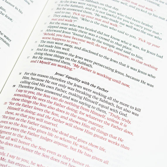LSB - Legacy Standard Bible, Large Print Wide Margin - Paste-Down Faux Leather