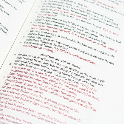 LSB - Legacy Standard Bible, Large Print Wide Margin - Paste-Down Faux Leather