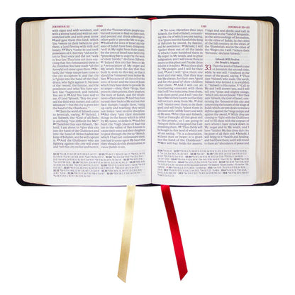 LSB - Legacy Standard Bible Portable Paragraph Reference, Red Letter - Paste-Down Cowhide