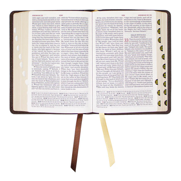 LSB - Legacy Standard Bible, Portable Paragraph Reference, Red Letter - Paste-Down Cowhide