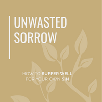 Unwasted Sorrow by Todd M. Sorrell
