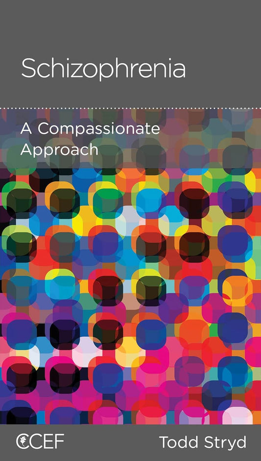 Schizophrenia: A Compassionate Approach by Todd Stryd -  Mini Book