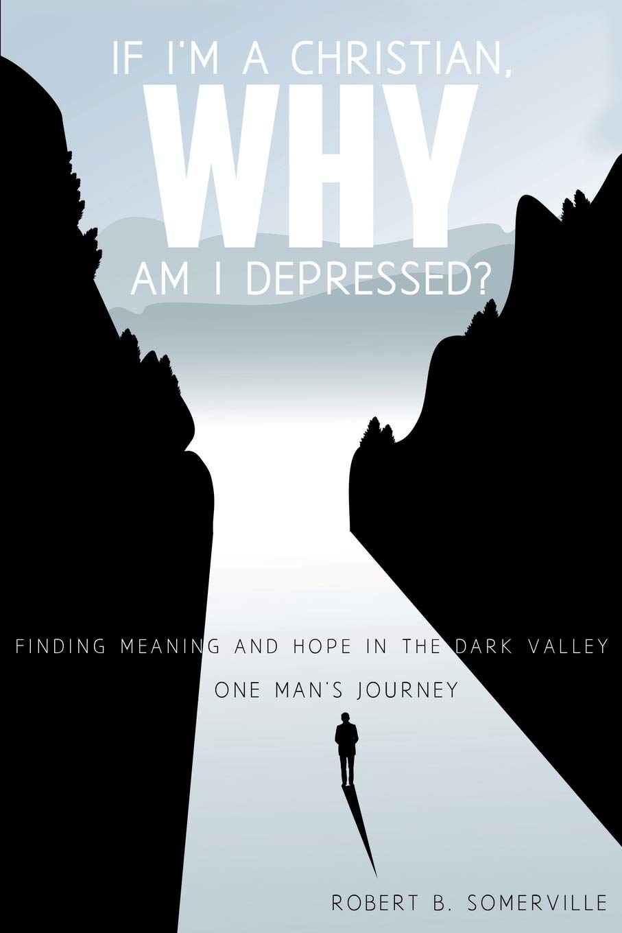 If I am a Christian, Why am I depressed?: Finding Meaning and Hope in the Dark Valley, One Man's Journey by Robert Somerville