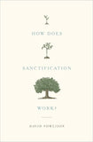 How Does Sanctification Work? by David Powlison